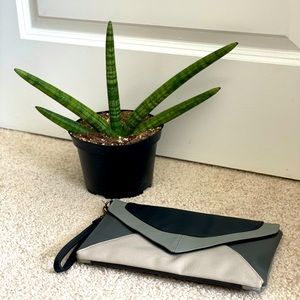 Mossimo Purse / Wristlet / Clutch / Envelope Wallet